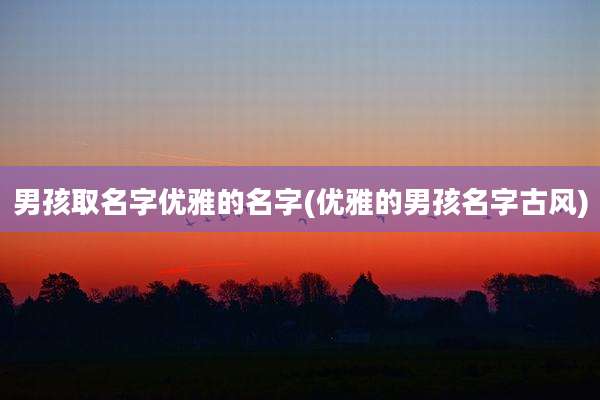 男孩取名字优雅的名字(优雅的男孩名字古风)