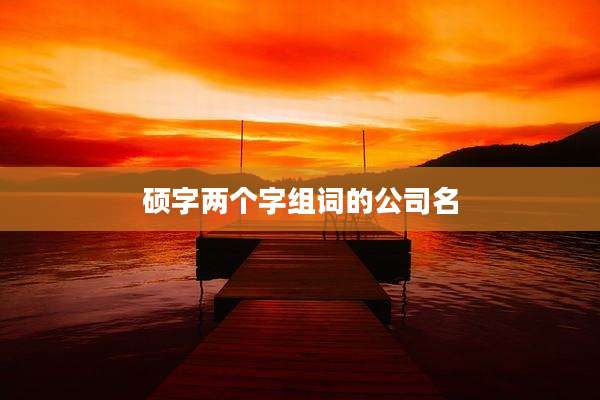 硕字两个字组词的公司名