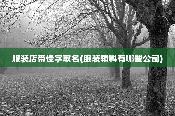 服装店带佳字取名(服装辅料有哪些公司)