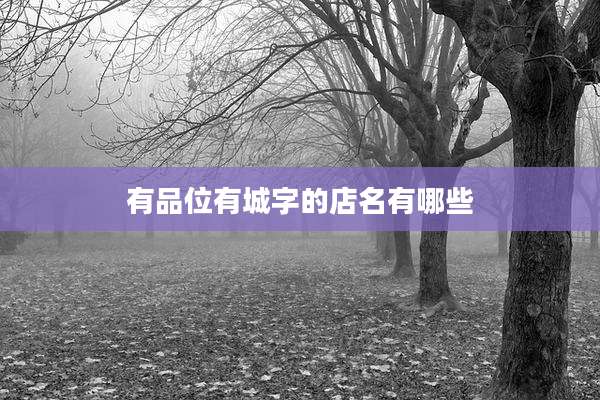 有品位有城字的店名有哪些