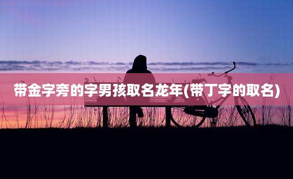 带金字旁的字男孩取名龙年(带丁字的取名)