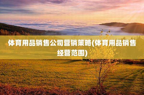 体育用品销售公司营销策略(体育用品销售经营范围)