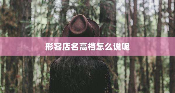 形容店名高档怎么说呢
