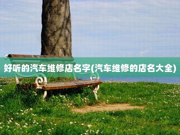 好听的汽车维修店名字(汽车维修的店名大全)