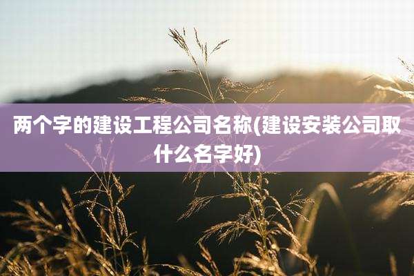两个字的建设工程公司名称(建设安装公司取什么名字好)