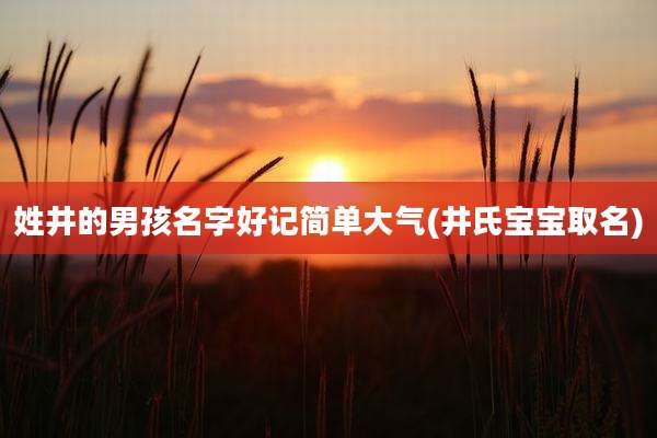姓井的男孩名字好记简单大气(井氏宝宝取名)