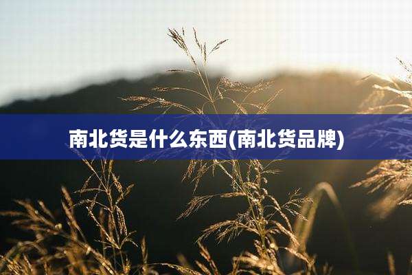 南北货是什么东西(南北货品牌)