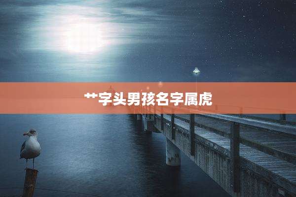 艹字头男孩名字属虎