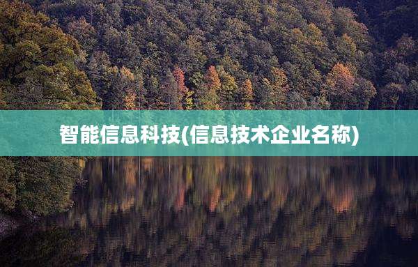智能信息科技(信息技术企业名称)