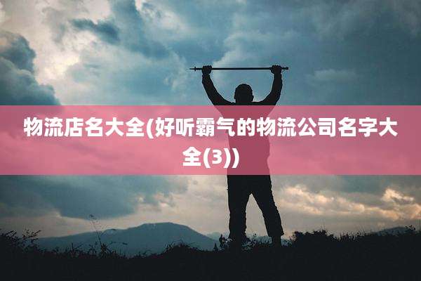 物流店名大全(好听霸气的物流公司名字大全(3))