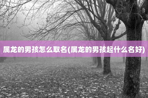 属龙的男孩怎么取名(属龙的男孩起什么名好)
