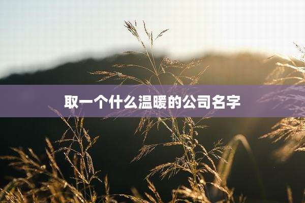 取一个什么温暖的公司名字