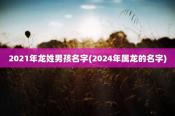2021年龙姓男孩名字(2024年属龙的名字)