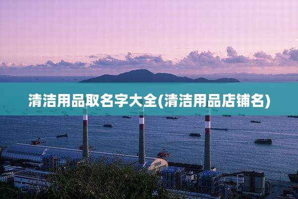 清洁用品取名字大全(清洁用品店铺名)
