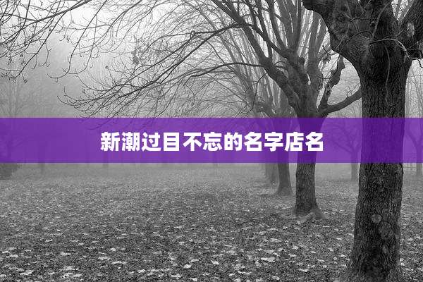新潮过目不忘的名字店名