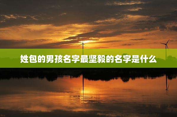 姓包的男孩名字最坚毅的名字是什么