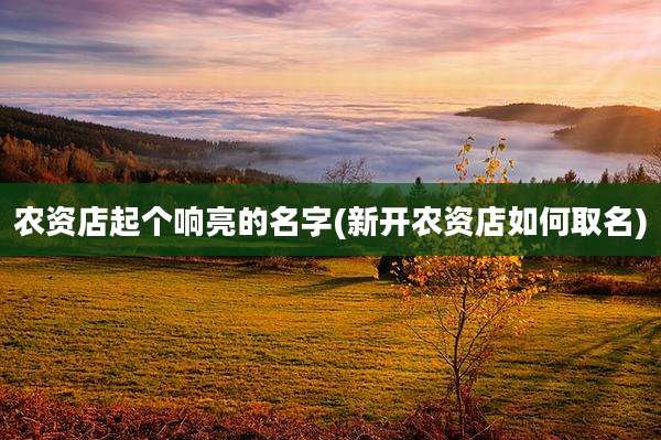 农资店起个响亮的名字(新开农资店如何取名)