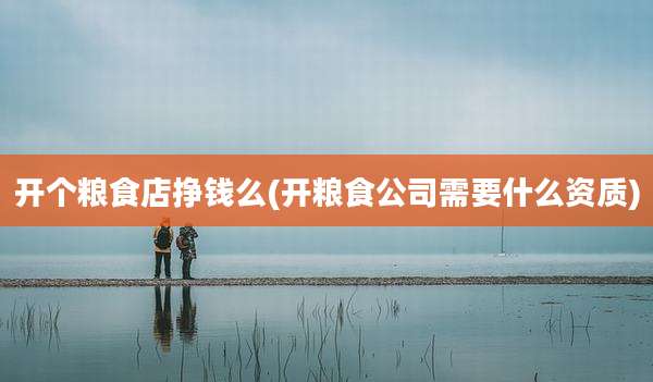 开个粮食店挣钱么(开粮食公司需要什么资质)