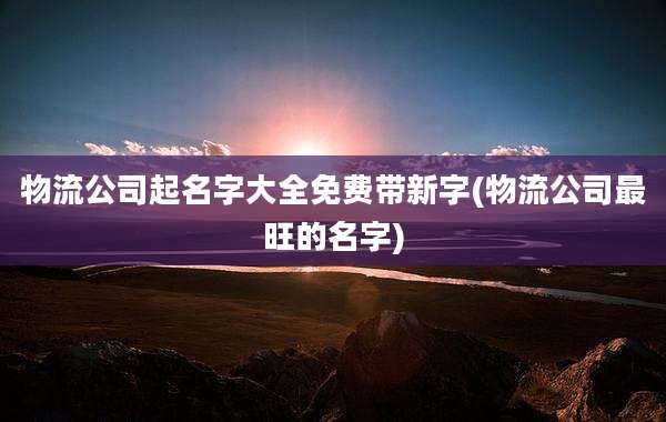 物流公司起名字大全免费带新字(物流公司最旺的名字)