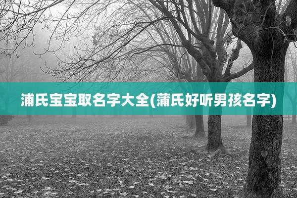 浦氏宝宝取名字大全(蒲氏好听男孩名字)
