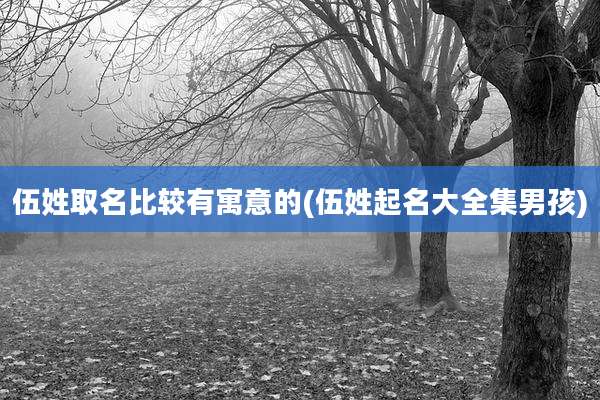 伍姓取名比较有寓意的(伍姓起名大全集男孩)