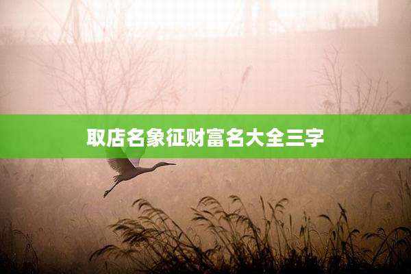 取店名象征财富名大全三字