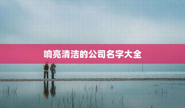 响亮清洁的公司名字大全