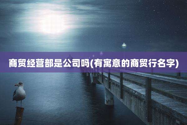 商贸经营部是公司吗(有寓意的商贸行名字)