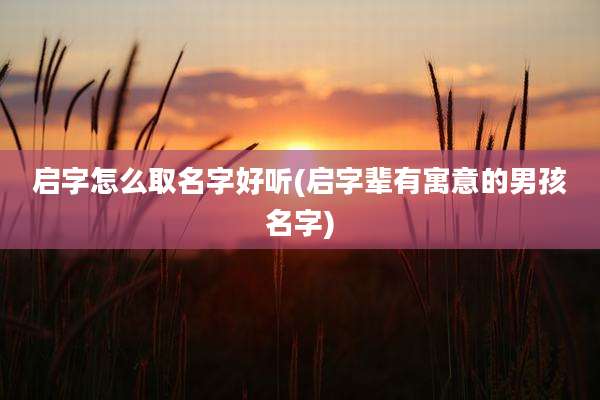 启字怎么取名字好听(启字辈有寓意的男孩名字)