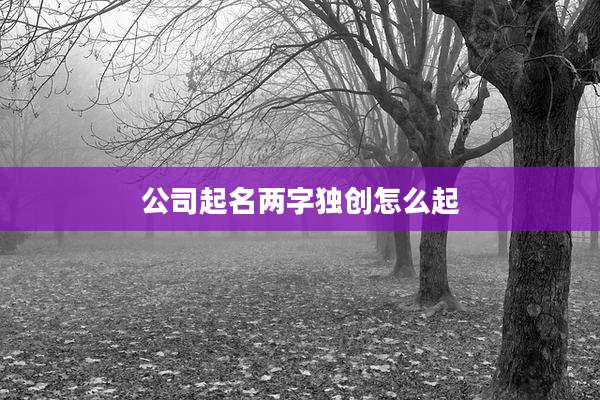 公司起名两字独创怎么起