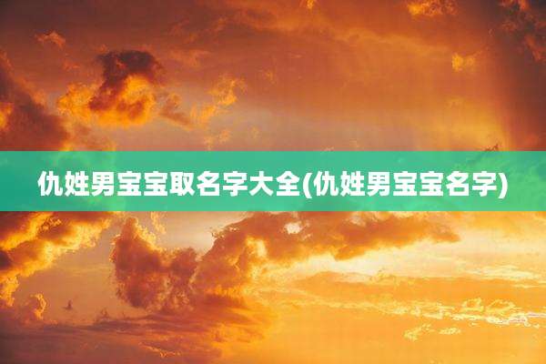 仇姓男宝宝取名字大全(仇姓男宝宝名字)