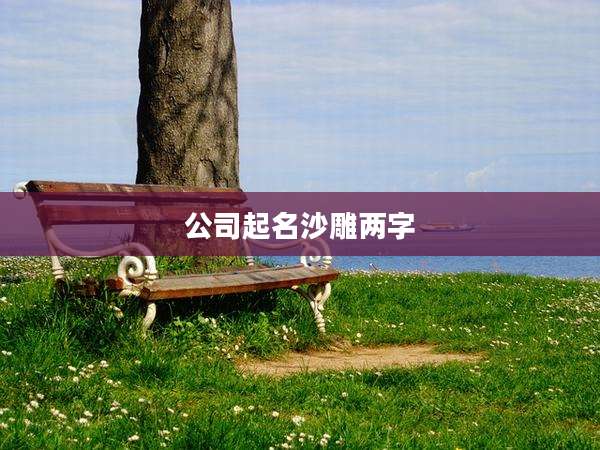 公司起名沙雕两字