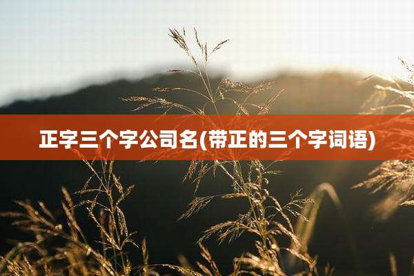 正字三个字公司名(带正的三个字词语)