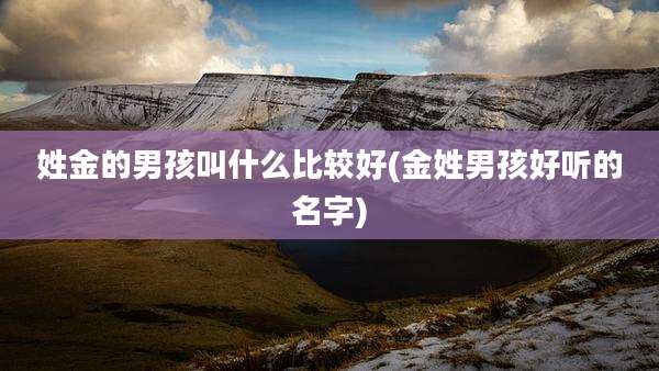 姓金的男孩叫什么比较好(金姓男孩好听的名字)