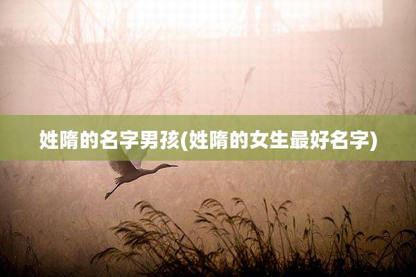 姓隋的名字男孩(姓隋的女生最好名字)