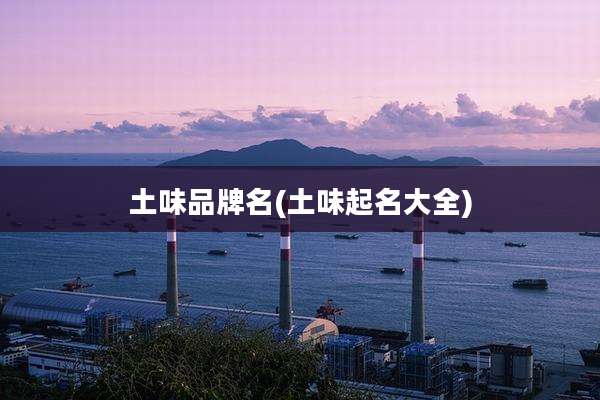 土味品牌名(土味起名大全)