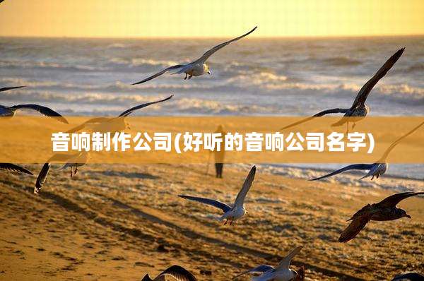 音响制作公司(好听的音响公司名字)
