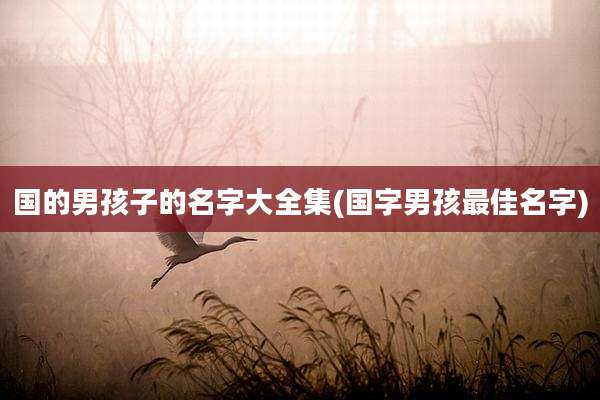 国的男孩子的名字大全集(国字男孩最佳名字)