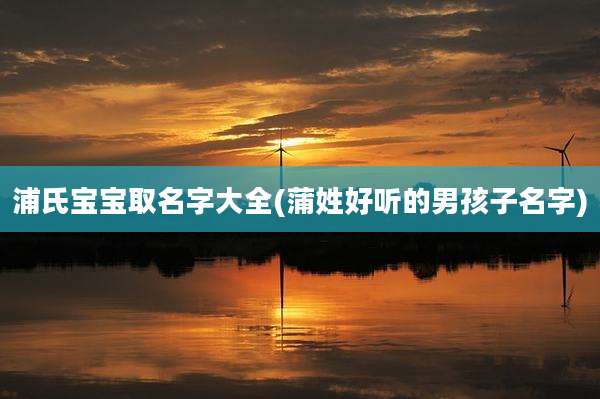浦氏宝宝取名字大全(蒲姓好听的男孩子名字)