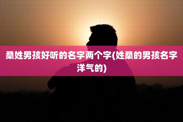 桑姓男孩好听的名字两个字(姓桑的男孩名字洋气的)