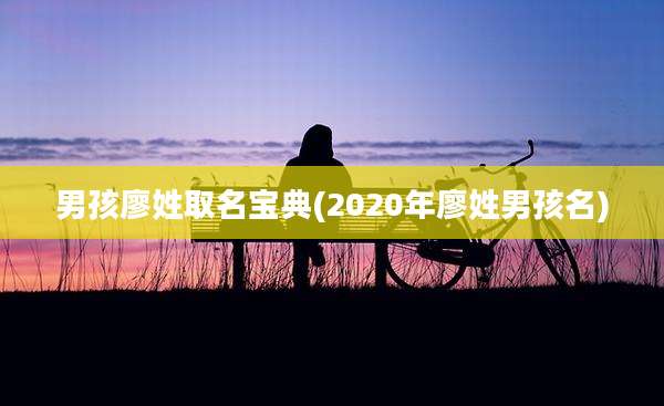 男孩廖姓取名宝典(2020年廖姓男孩名)