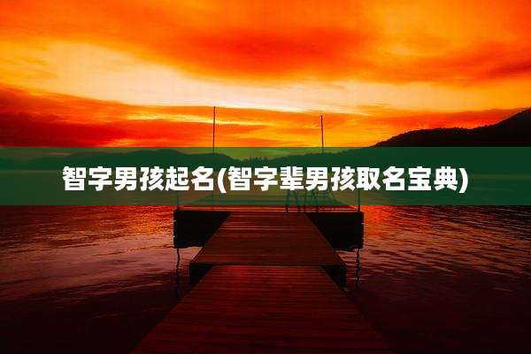 智字男孩起名(智字辈男孩取名宝典)