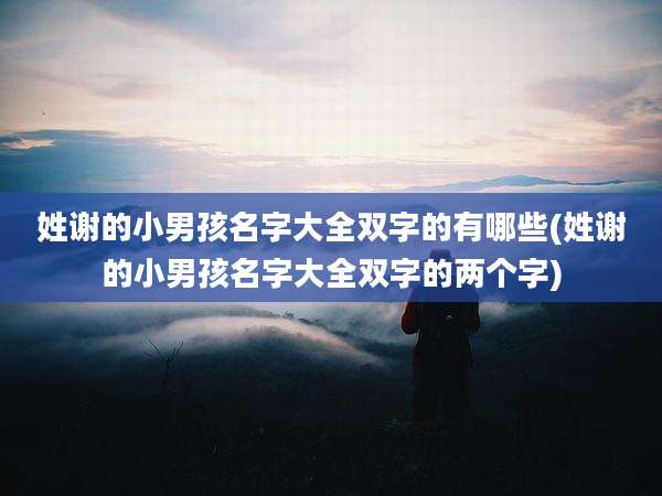 姓谢的小男孩名字大全双字的有哪些(姓谢的小男孩名字大全双字的两个字)