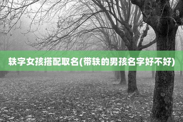 轶字女孩搭配取名(带轶的男孩名字好不好)