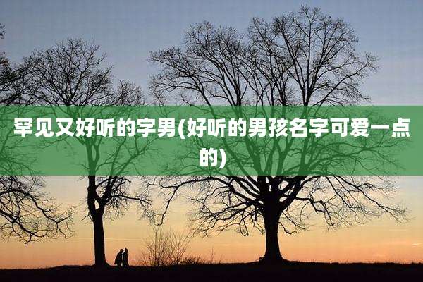罕见又好听的字男(好听的男孩名字可爱一点的)
