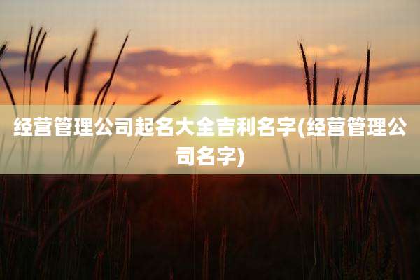 经营管理公司起名大全吉利名字(经营管理公司名字)