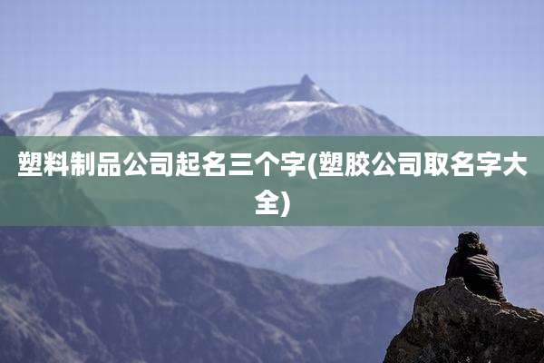 塑料制品公司起名三个字(塑胶公司取名字大全)
