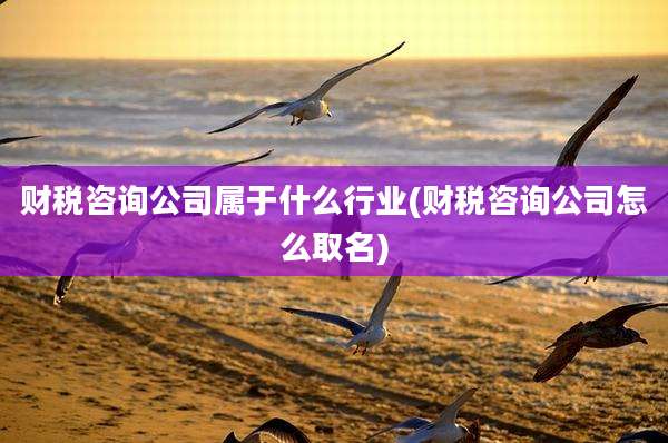 财税咨询公司属于什么行业(财税咨询公司怎么取名)