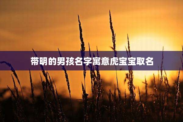 带明的男孩名字寓意虎宝宝取名