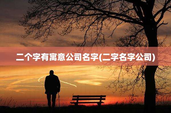 二个字有寓意公司名字(二字名字公司)